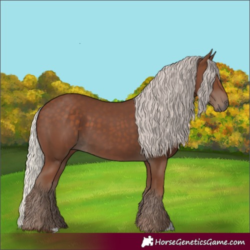 Horse Color:Silver Black 