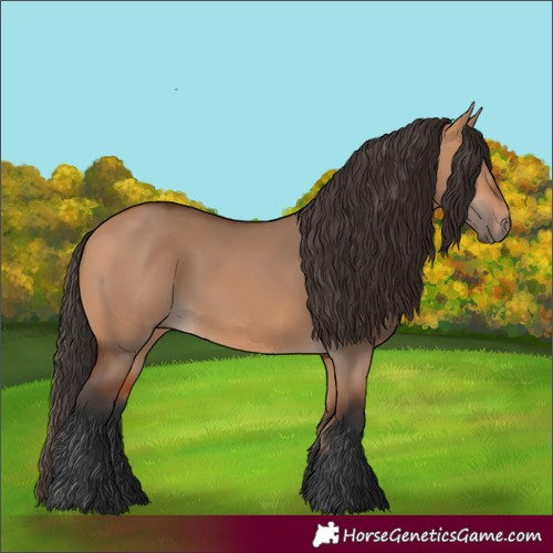 Horse Color:Bay Dun 