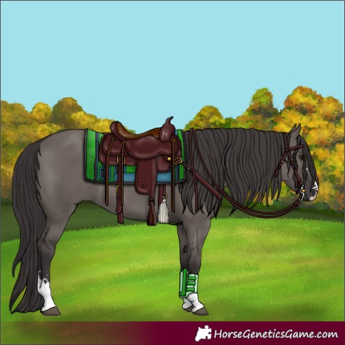 Horse Color:Smoky Grullo