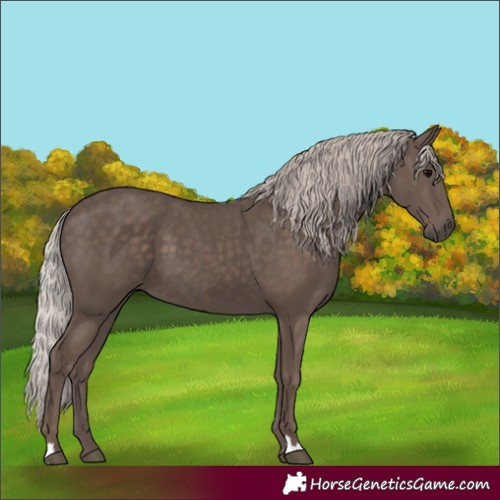 Horse Color:Silver Black 