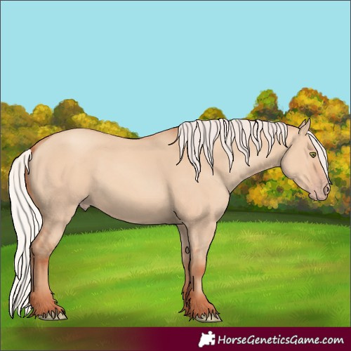 Horse Color:Silver Amber Champagne Dun 