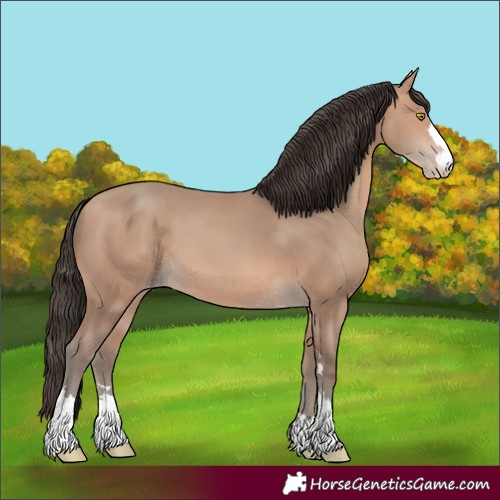Horse Color:Amber Champagne 