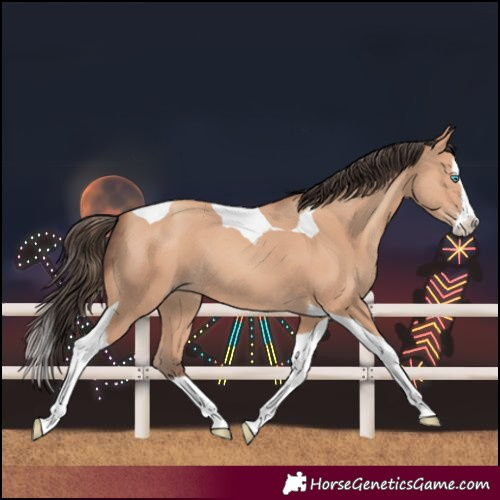 Horse Color:Amber Champagne Splash Tobiano 