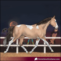 Horse Color:Amber Champagne Splash Tobiano 