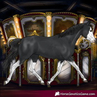 Horse Color:Black Splash 