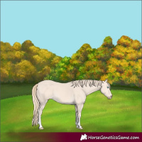 Horse Color:Perlino Tobiano