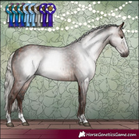 Horse Color:Gray Silver Brown Sabino Rabicano  and Silver Brown Rabicano 