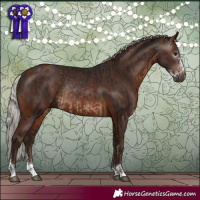Horse Color:Gray Silver Brown Sabino Rabicano  and Silver Brown Rabicano 