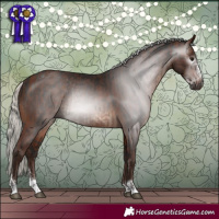 Horse Color:Gray Silver Brown Sabino Rabicano and Silver Brown Rabicano
