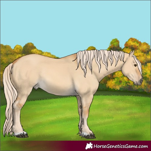 Horse Color:Palomino Dun Rabicano 