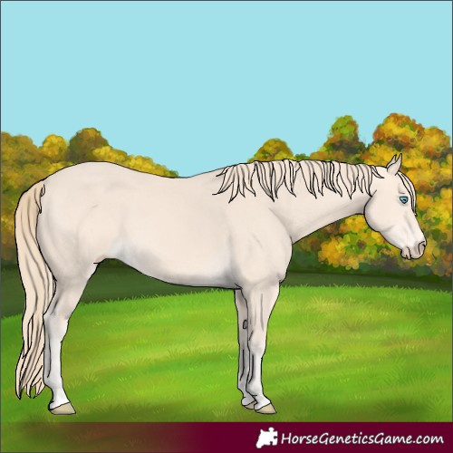 Horse Color:Perlino 