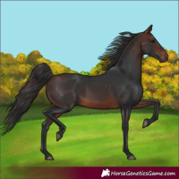 Horse Color:Brown 