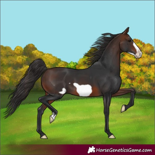 Horse Color:Brown Frame 