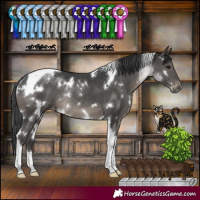 Horse Color:White Spotted Black Tobiano Appaloosa Rabicano
