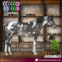 Horse Color:White Spotted Black Tobiano Appaloosa Rabicano 