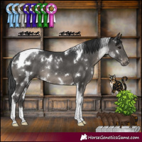 Horse Color:White Spotted Black Tobiano Appaloosa Rabicano 