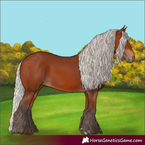Horse Color:Silver Bay
