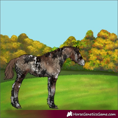 Horse Color:White Spotted Blue Onyx Ice Pearl 