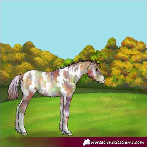 Horse Color:Nacre White Spotted Blue Onyx Ice Pearl 