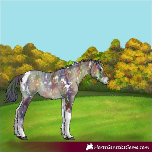 Horse Color:Nacre White Spotted Blue Onyx Ice Tobiano
