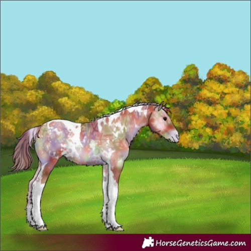 Horse Color:Nacre White Spotted Blue Onyx Ice Pearl Tobiano 