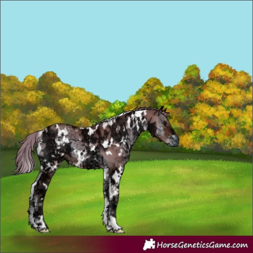 Horse Color:White Spotted Blue Onyx Ice Pearl 