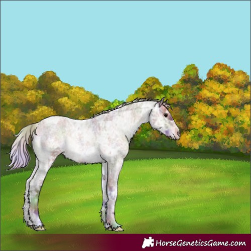 Horse Color:Nacre White Spotted Silver Blue Onyx Ice Roan 