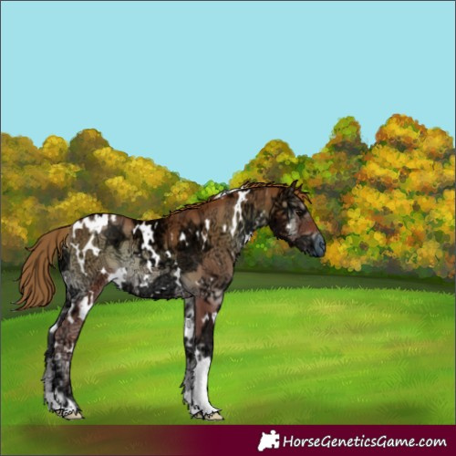 Horse Color:White Spotted Blue Onyx Ice Pearl 