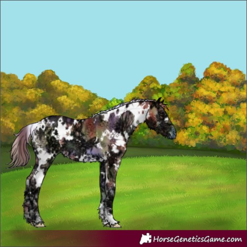Horse Color:Nacre White Spotted Blue Onyx Ice Pearl 