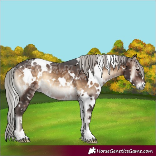 Horse Color:White Spotted Silver Brown Ice Onyx 