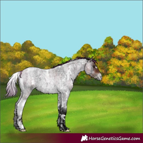 Horse Color:White Spotted Brown Ice Roan Pearl Onyx 