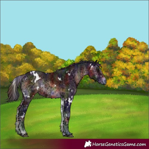Horse Color:Nacre White Spotted Brown Ice Onyx 