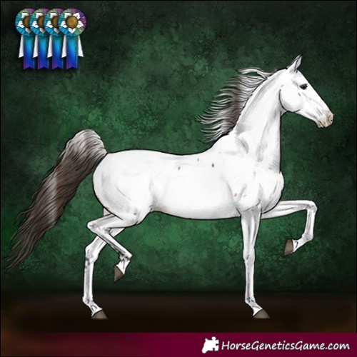 Horse Color:Bay Near Fewspot 