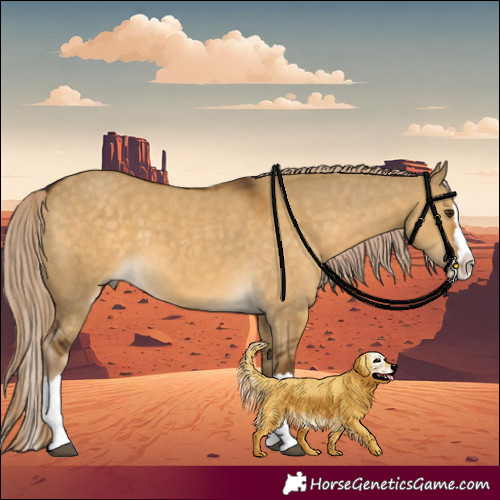 Horse Color:Chocolate Palomino Dun Splash