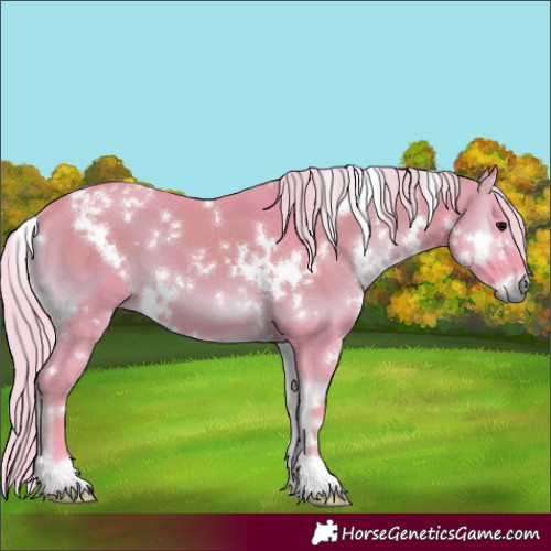 Horse Color:Watercolor White Spotted Chocolate Silver Blue Onyx 