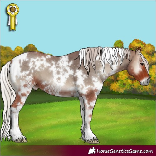 Horse Color:White Spotted Chocolate Silver Blue Onyx 