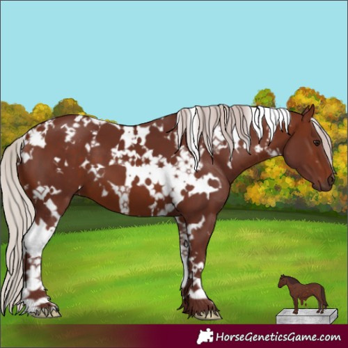 Horse Color:White Spotted Chocolate Silver Brown 