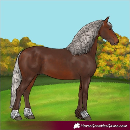 Horse Color:Silver Bay 