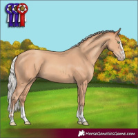 Horse Color:Silver Amber Champagne
