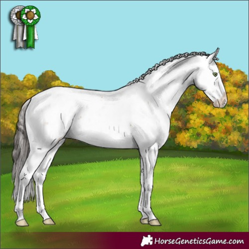 Horse Color:Amber Champagne Sabino 