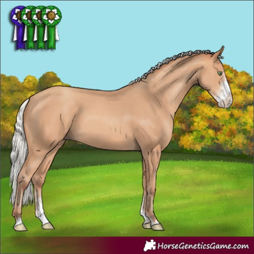 Horse Color:Silver Amber Champagne Sabino 
