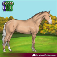 Horse Color:Silver Amber Champagne Sabino 