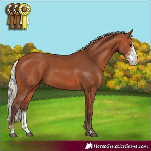Horse Color:Silver Bay Sabino 