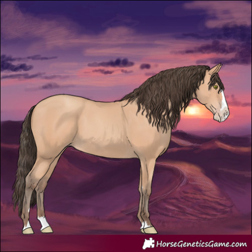 Horse Color:Amber Champagne Splash