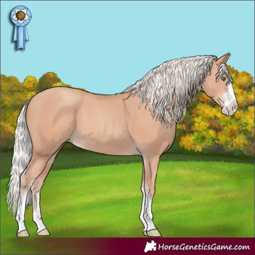 Horse Color:Silver Classic Champagne 