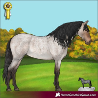 Horse Color:Brown Roan Dun 