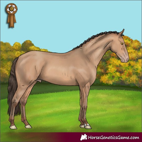 Horse Color:Amber Champagne