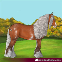 Horse Color:White Spotted Silver Bay Splash