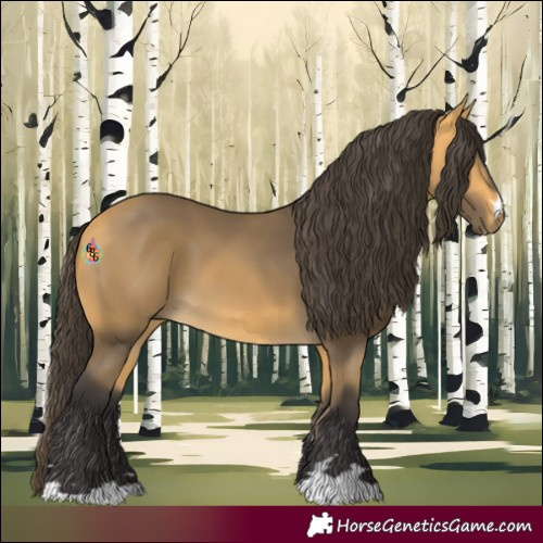 Horse Color:Buckskin