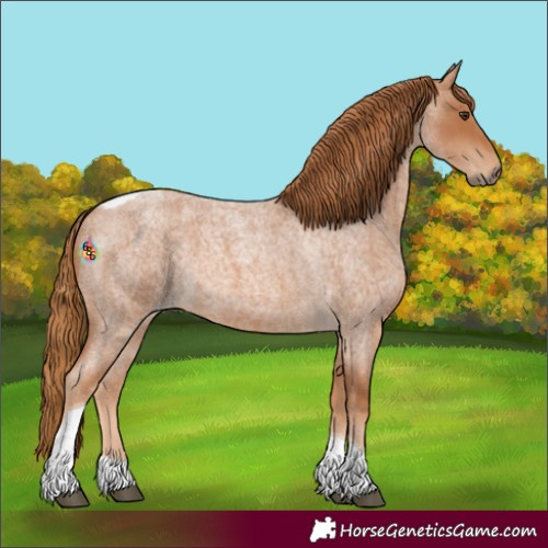 Horse Color:Red Roan Tobiano